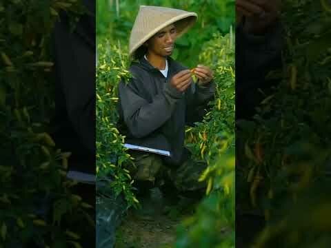 Aksi Nyata untuk Pertanian Berkelanjutan  - Hari Tani Nasional 24 September